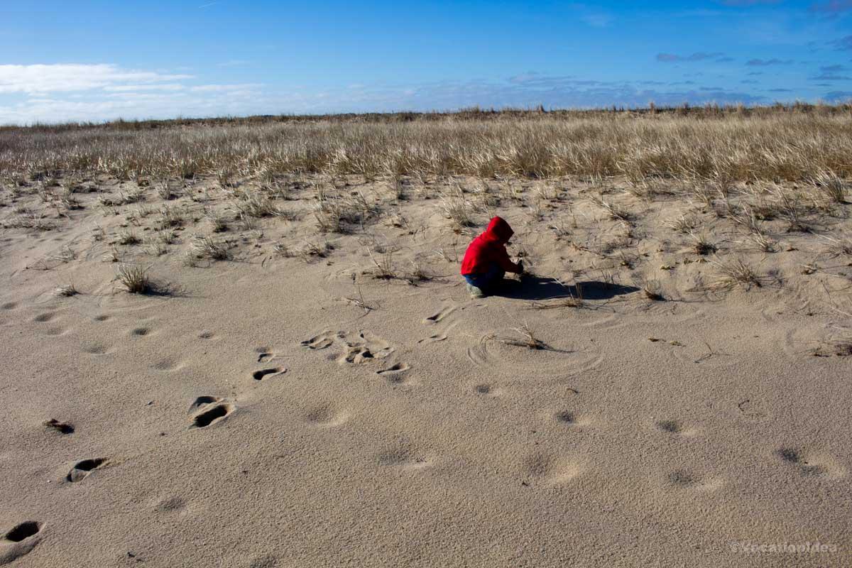I took this photo of my son playing in the sand on our day trip from Boston