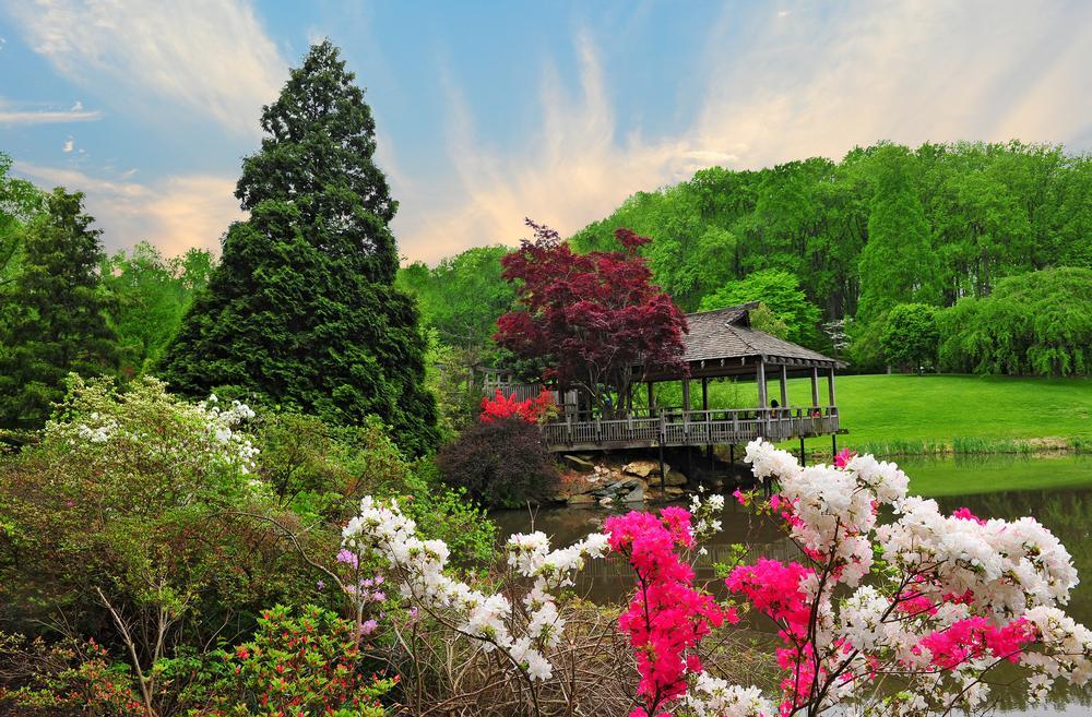Walk along scenic floral displays or discover tranquil nature trails.
