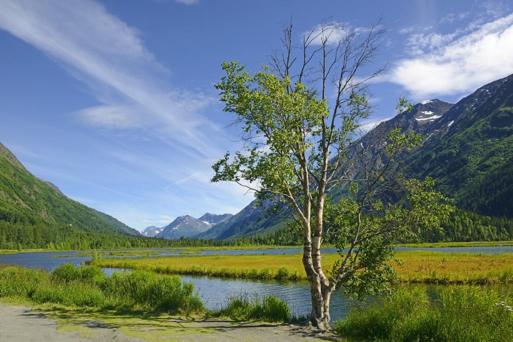 Chugach National Forest - around 45 minutes