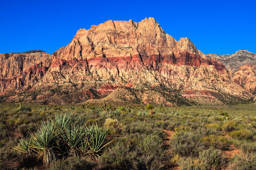 Hike scenic trails, admire towering red cliffs, and explore desert landscapes.