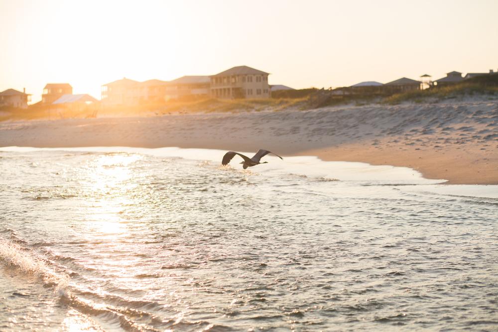 Explore historic forts and savor peaceful waves on a romantic trip.