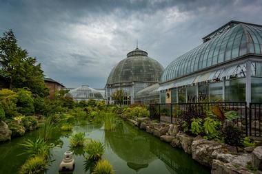 Anna Scripps Whitcomb Conservatory, Belle Isle