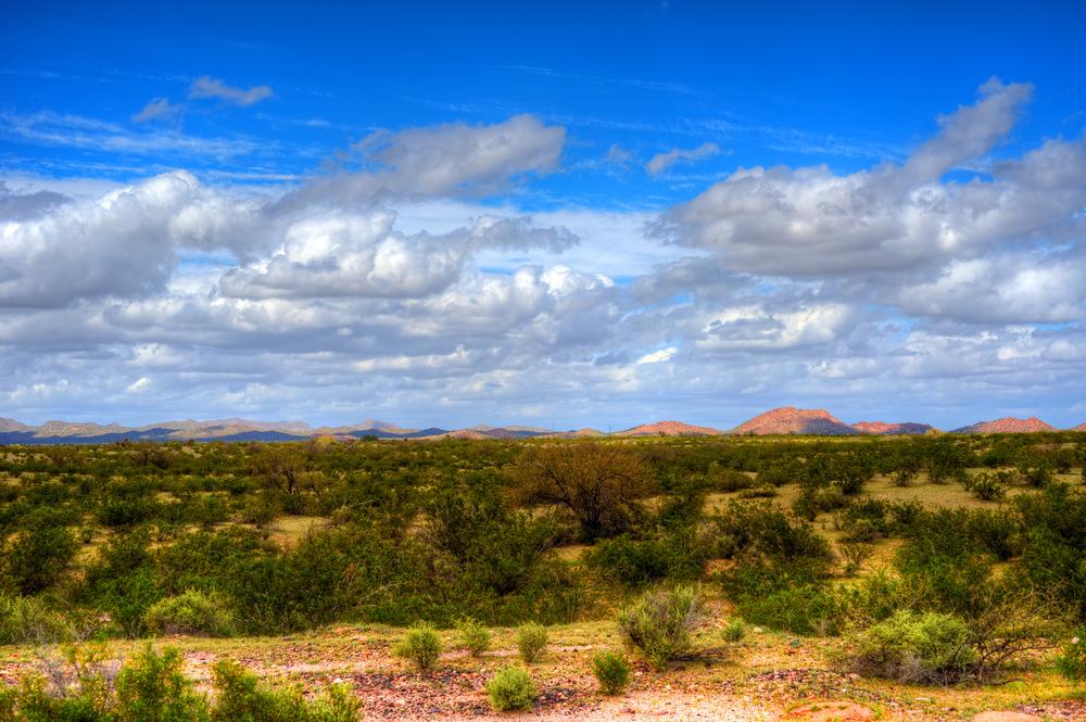 Walk along breathtaking landscapes or discover diverse desert wildlife.