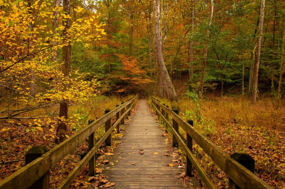 Hike through rolling hills, admire stunning fall foliage, and explore scenic overlooks.
