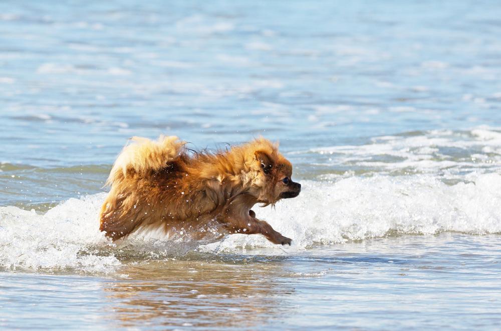 Walk along quiet sands and enjoy easy beach access with kids.