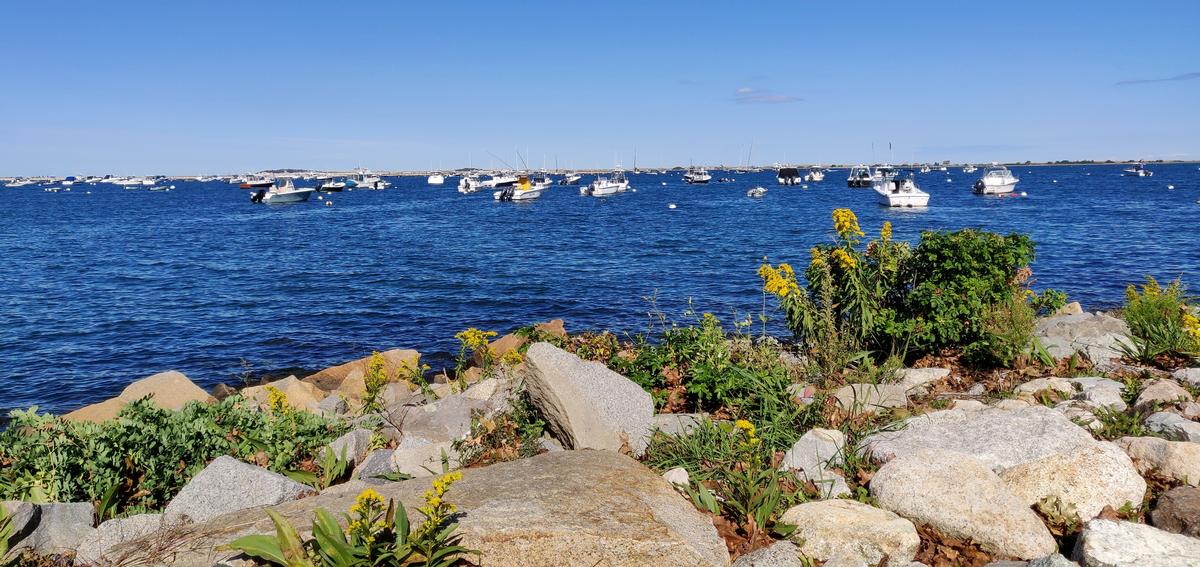 Explore the beaches and historical attractions in Plymouth, MA (50 minutes)