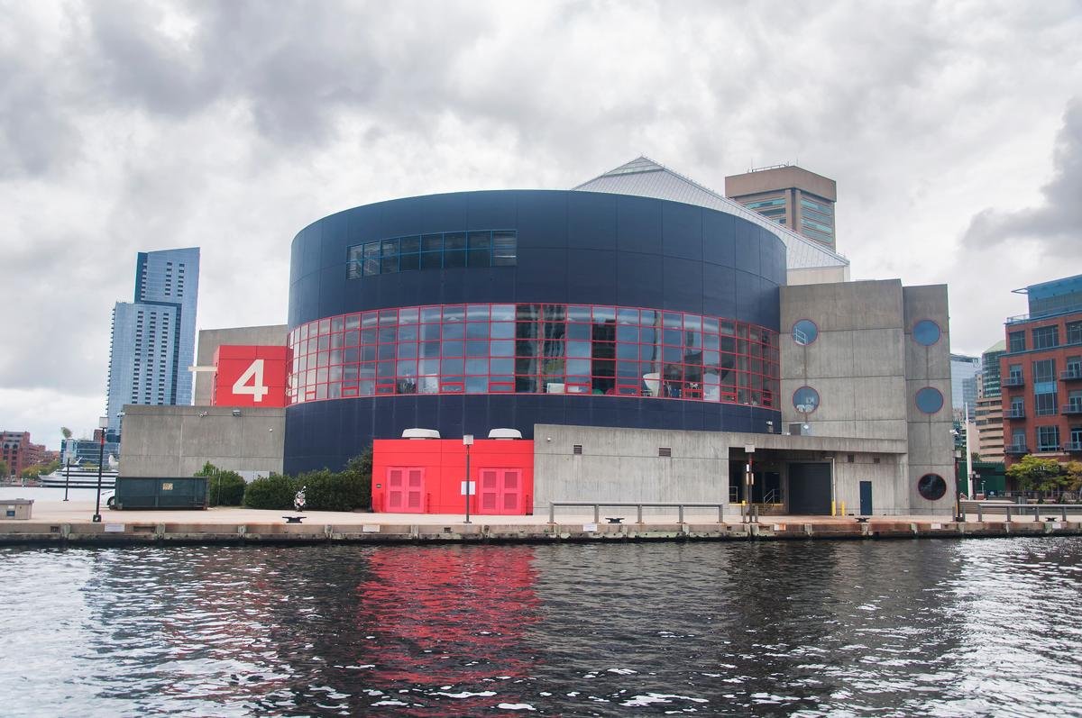 Walk through underwater tunnels or see colorful marine life exhibits.