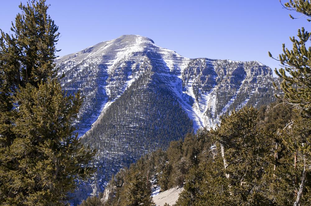 Hike forested trails, explore cool mountain air, and enjoy a quick nature escape.