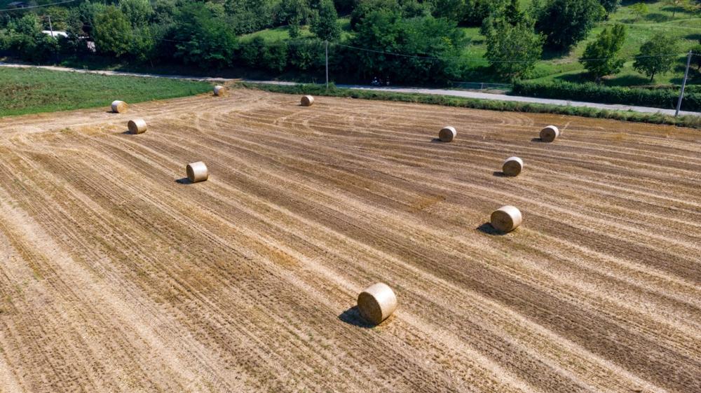 Visit local farms, explore charming small-town streets, and admire rustic countryside scenery.