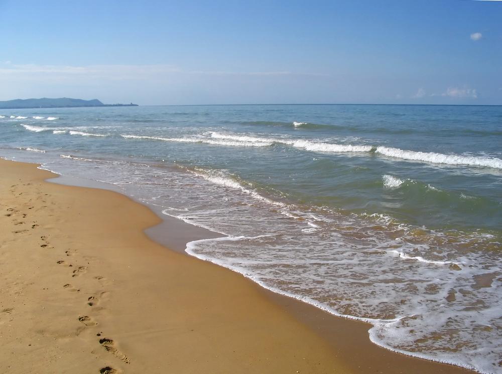 Discover untouched shores and spot sea turtles during an unusual adventure.