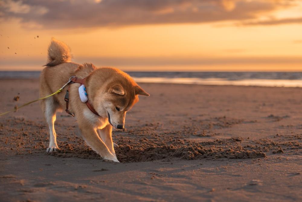 Walk along tranquil shores and savor a quiet beach escape.