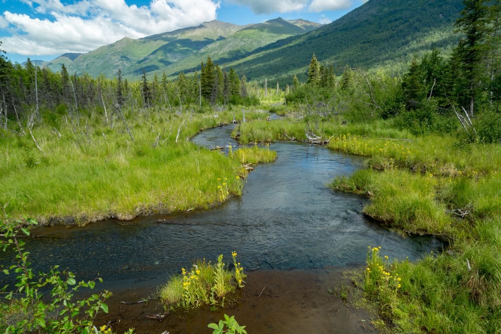Hike scenic nature trails or spot moose wandering through the forests.