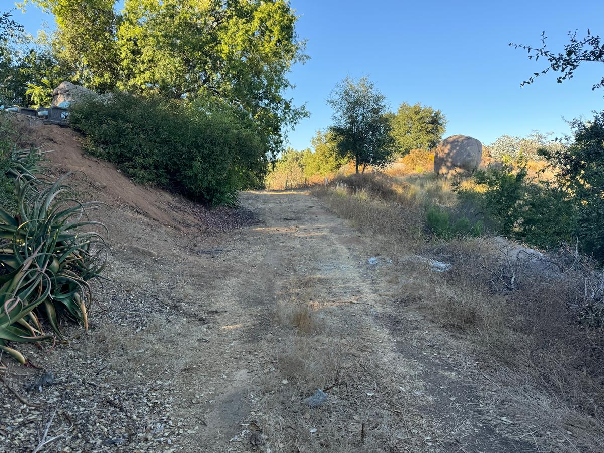 Hills, Art and Garden Stillness in Escondido