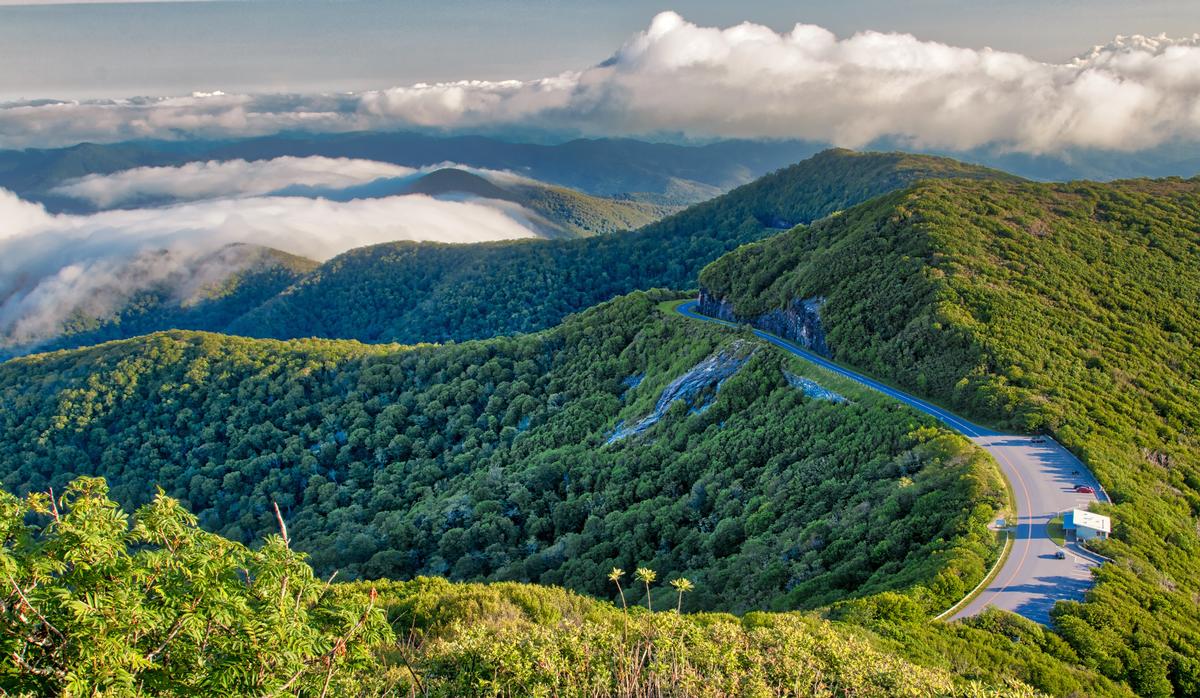 I've never seen a more scenic road than Blue Ridge Parkway on a trip from Washington, D.C. It's fantastic in the spring.