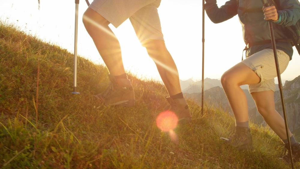 Climb stunning alpine trails or enjoy panoramic views of Anchorage and beyond.