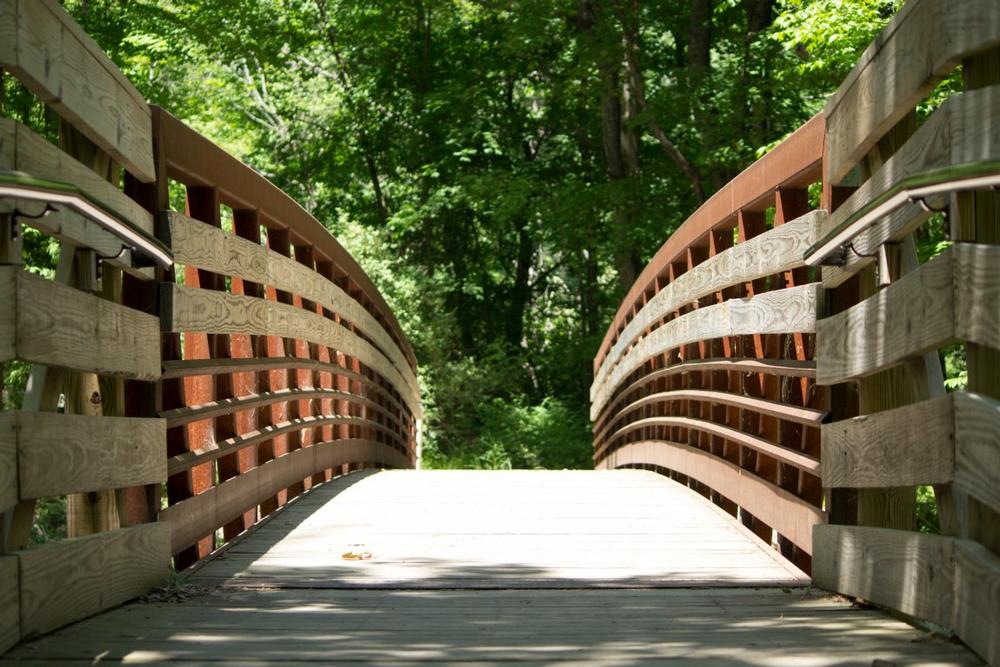Walk along peaceful trails, admire unique plant collections, and explore wildlife habitats.