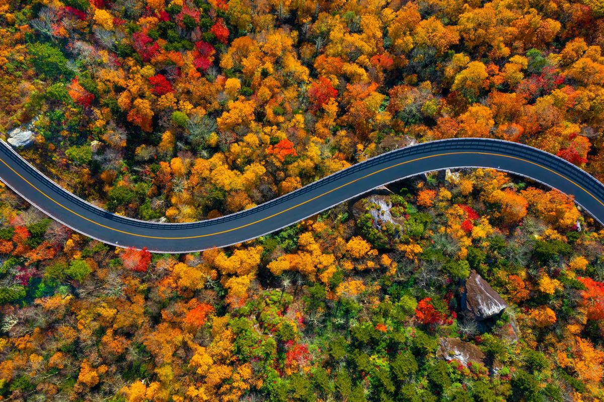  Hike breathtaking mountain trails or see vibrant fall foliage.