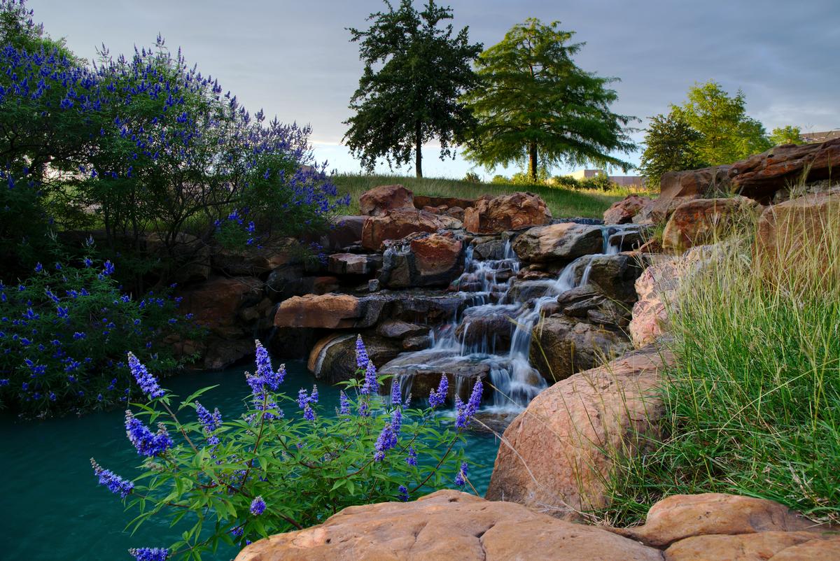 Frisco, Texas: Big Ideas in a Friendly Frame