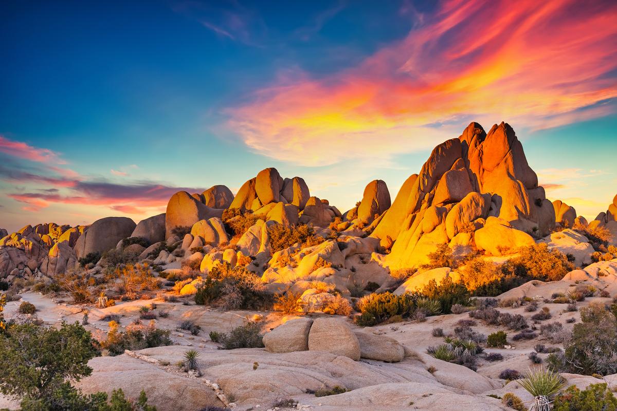 Joshua Tree National Park, Mojave Desert