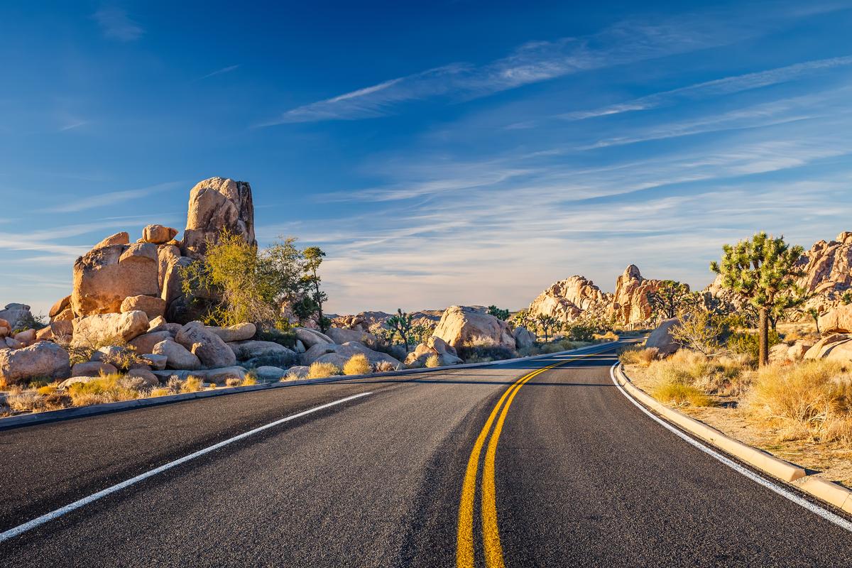 Road through Joshua Tree National Park