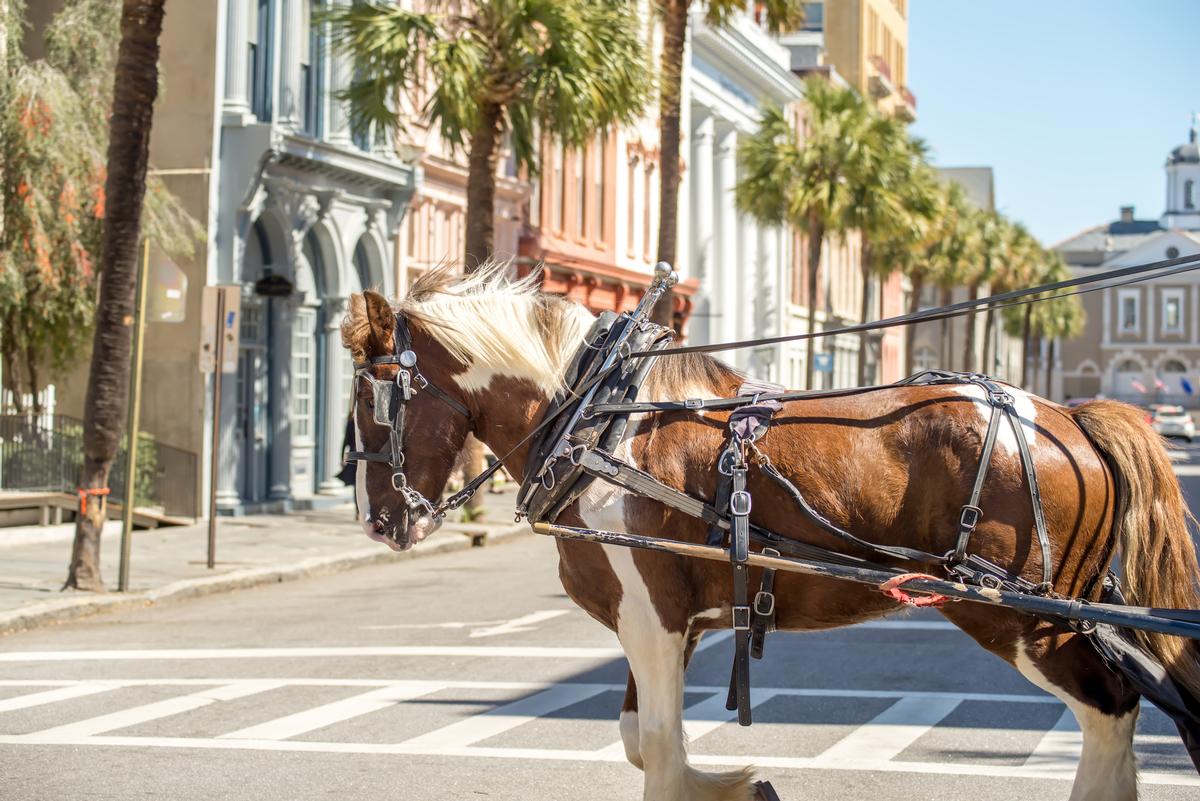 Stroll historic streets and savor Southern flavors on a couples getaway.