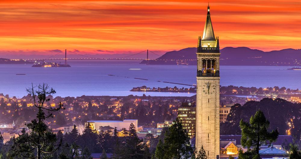 Berkeley: Blooms, Books & a Breath of Fresh Air