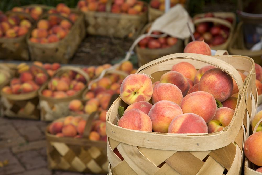 Charleston Farmer's Market