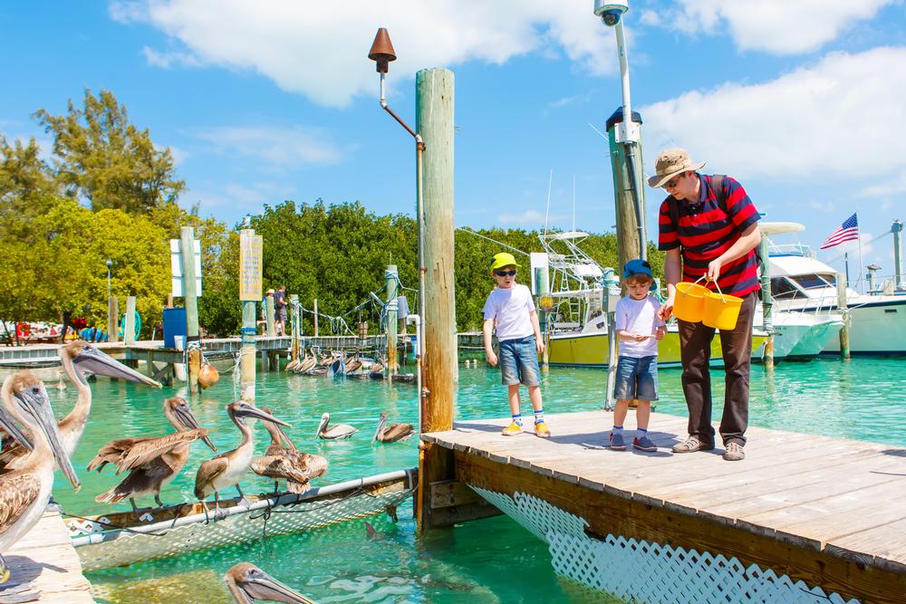 Explore vibrant streets in Key West, FL