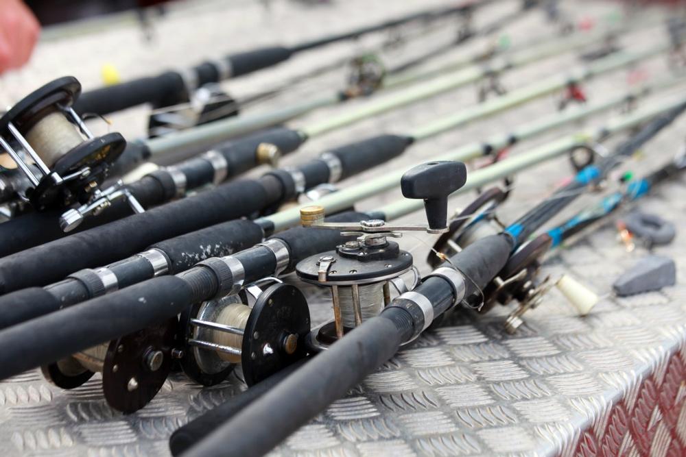 Fly or Spin with On the Fly Fishing Charters, San Diego