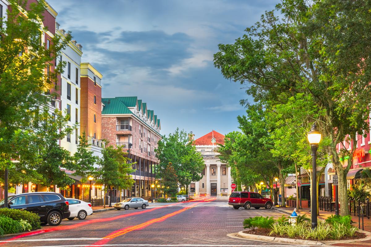 Gainesville: Where Nature Hums and Stories Echo