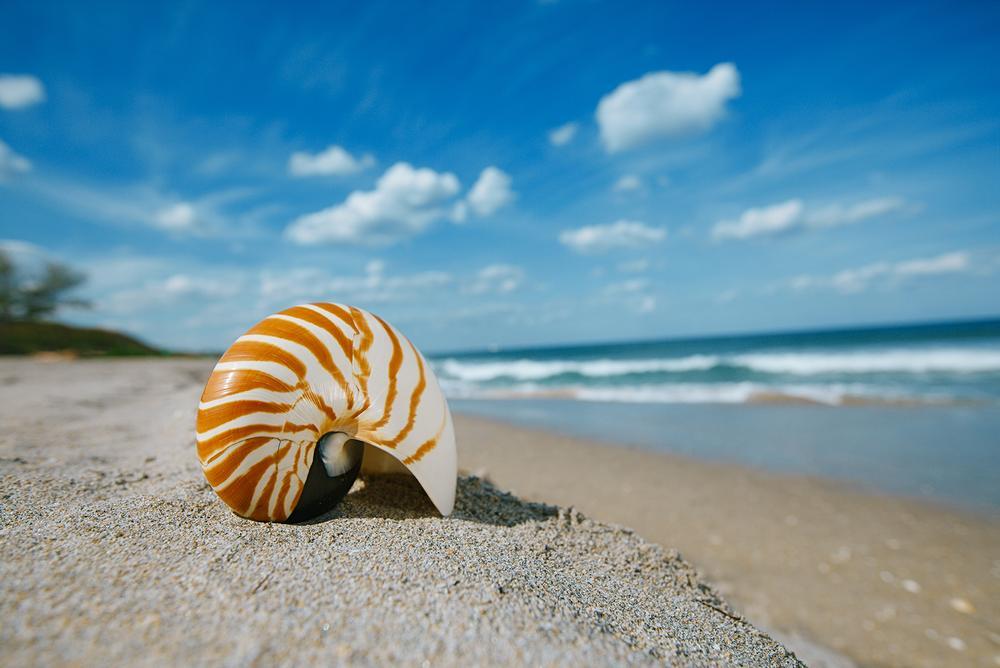 Sarasota