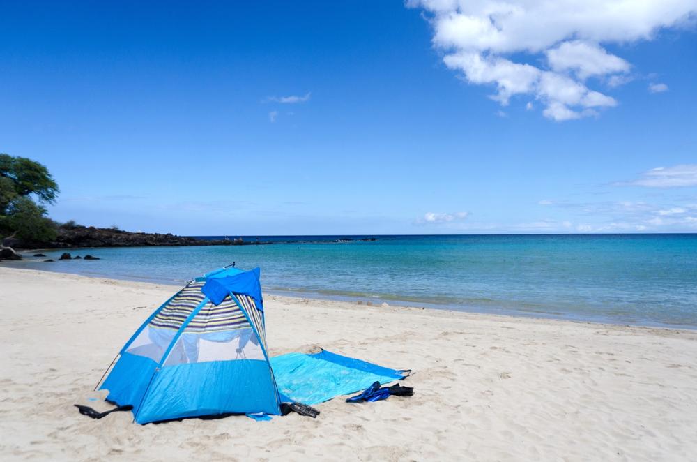 https://stock.adobe.com/gr_en/images/trail-to-the-south-of-kaunaoa-beach-big-island/165999493