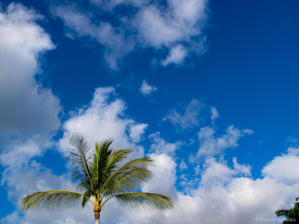 I took this photo in Key West