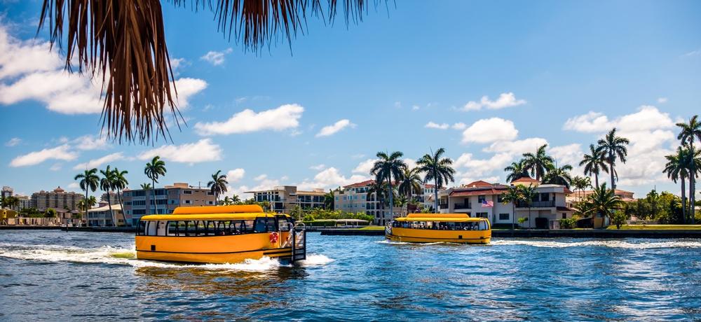 Cruise scenic waterways, admire luxury yachts, and explore lively waterfront districts.