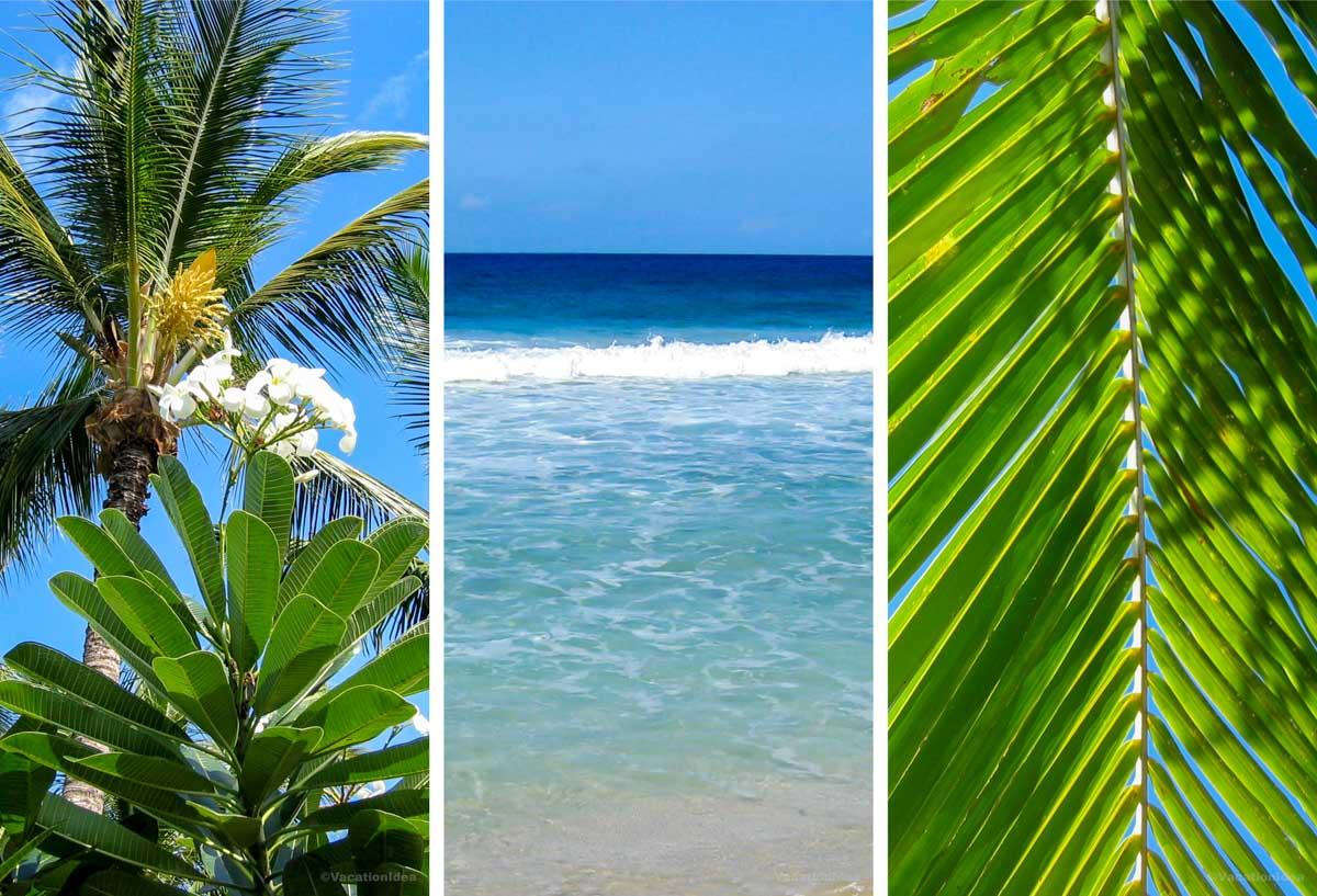 I took this photo of Hapua Beach, Hawaii