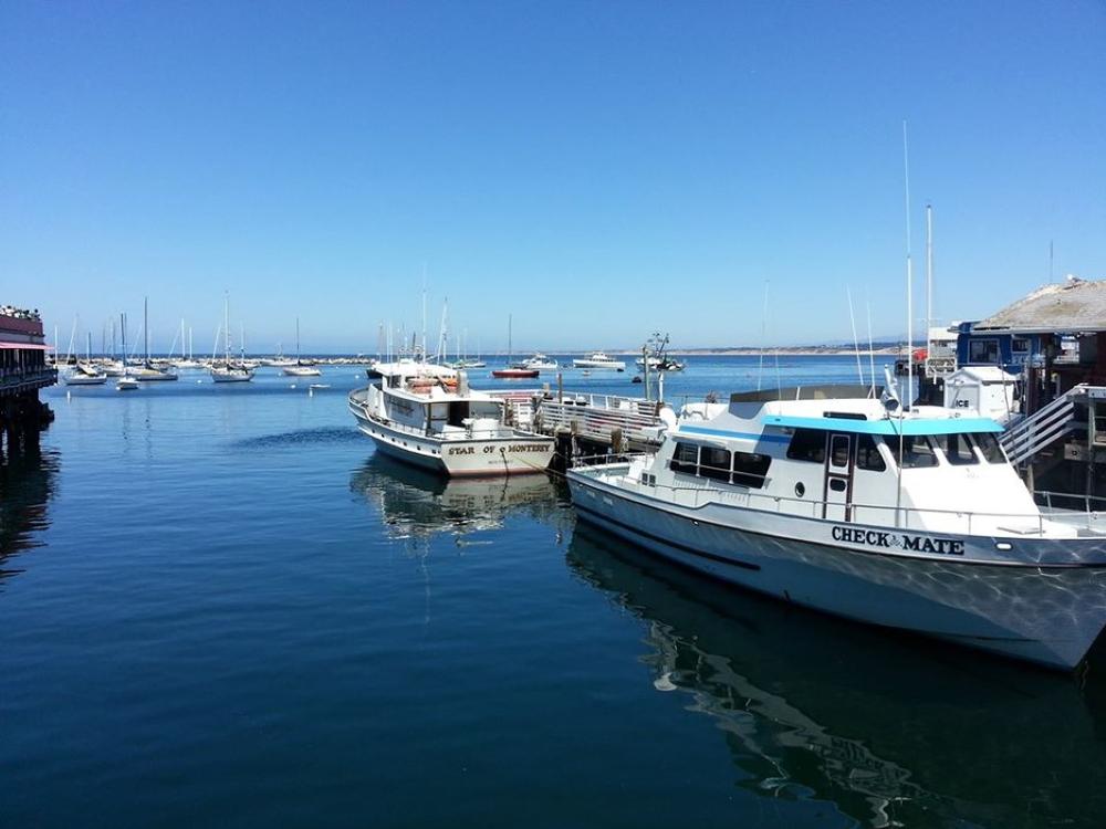 Reel in Giants with Chris’ Fishing and Whale Watching, Monterey, CA