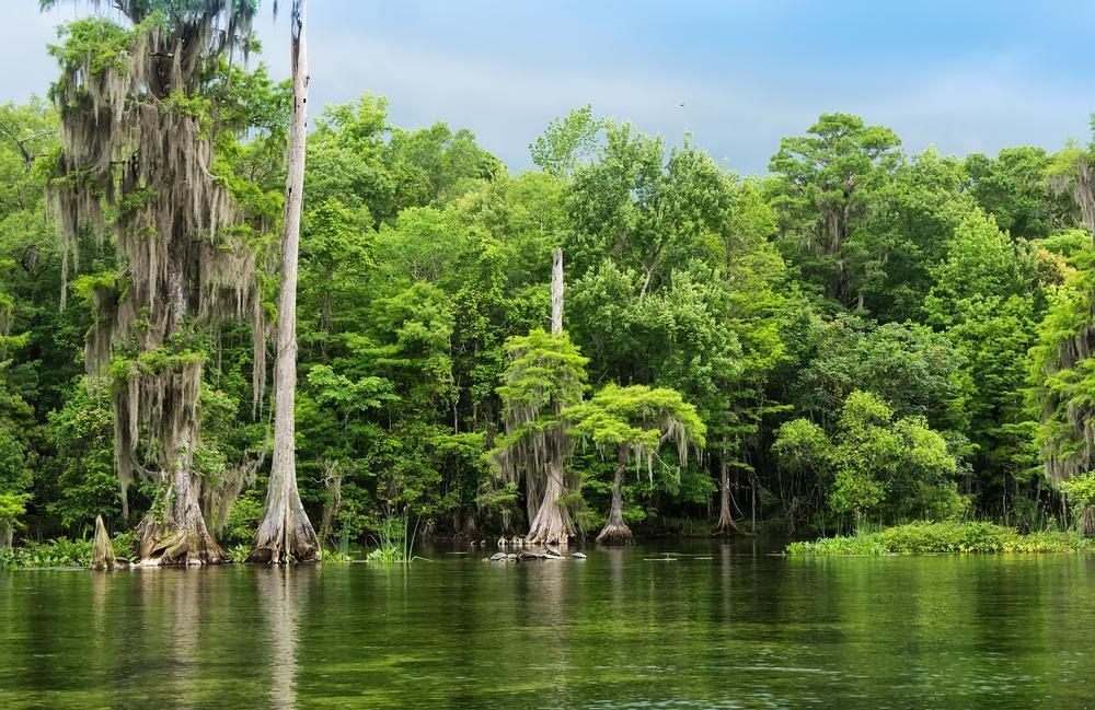 Wakulla Springs