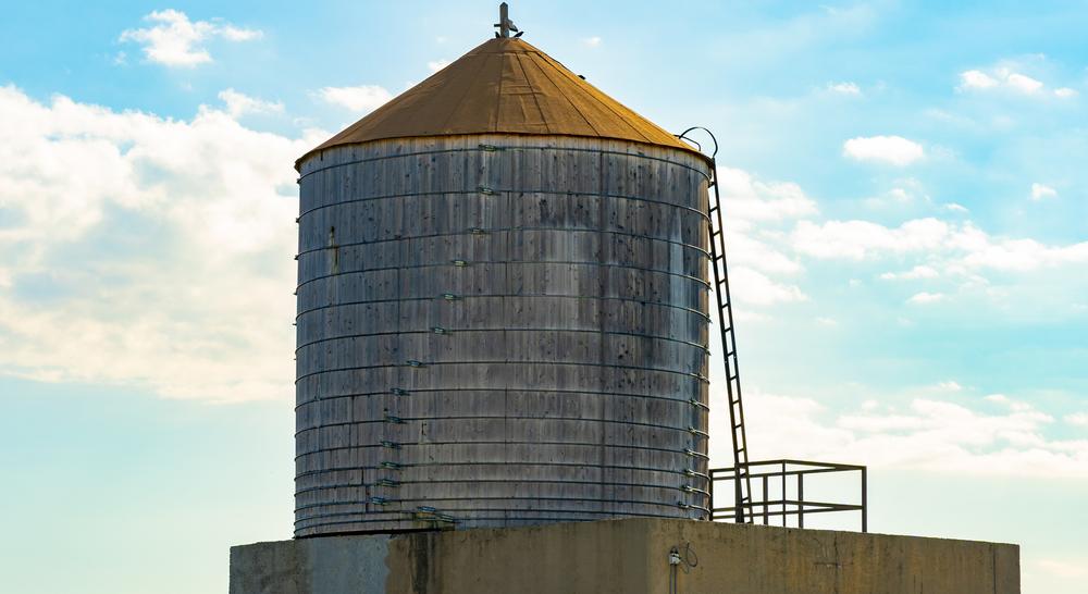 Explore the farms of Brooklyn Grange