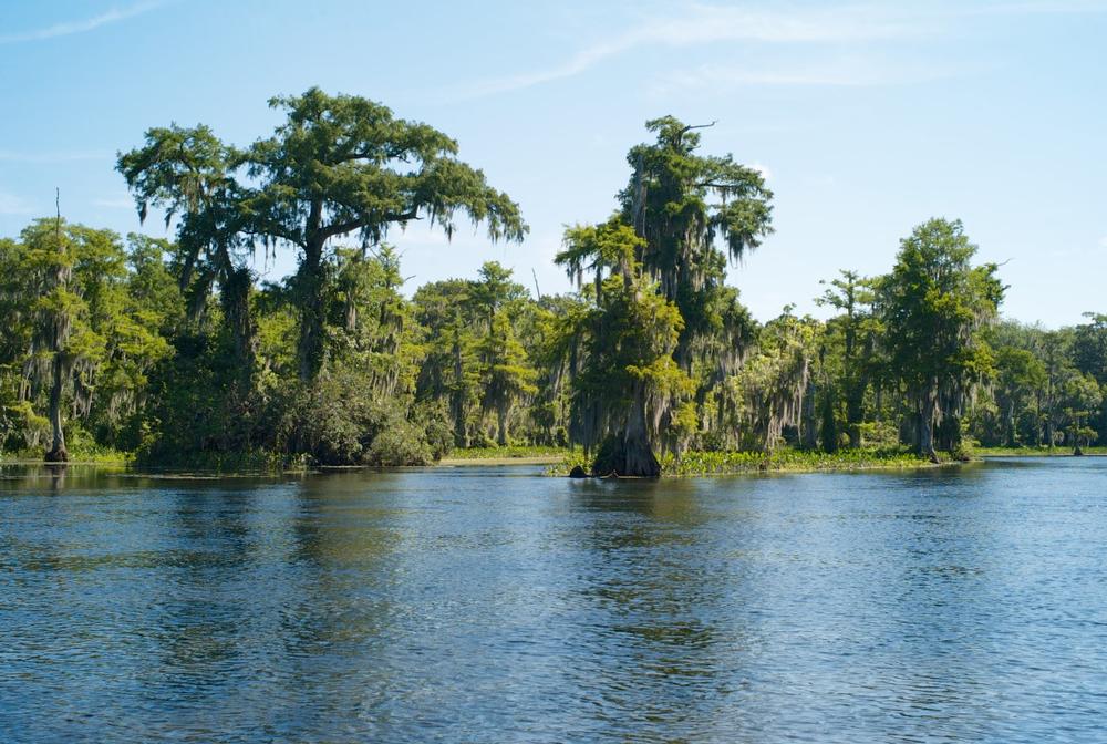 Discover one of the world’s largest freshwater springs, admire manatees, and explore scenic nature trails.