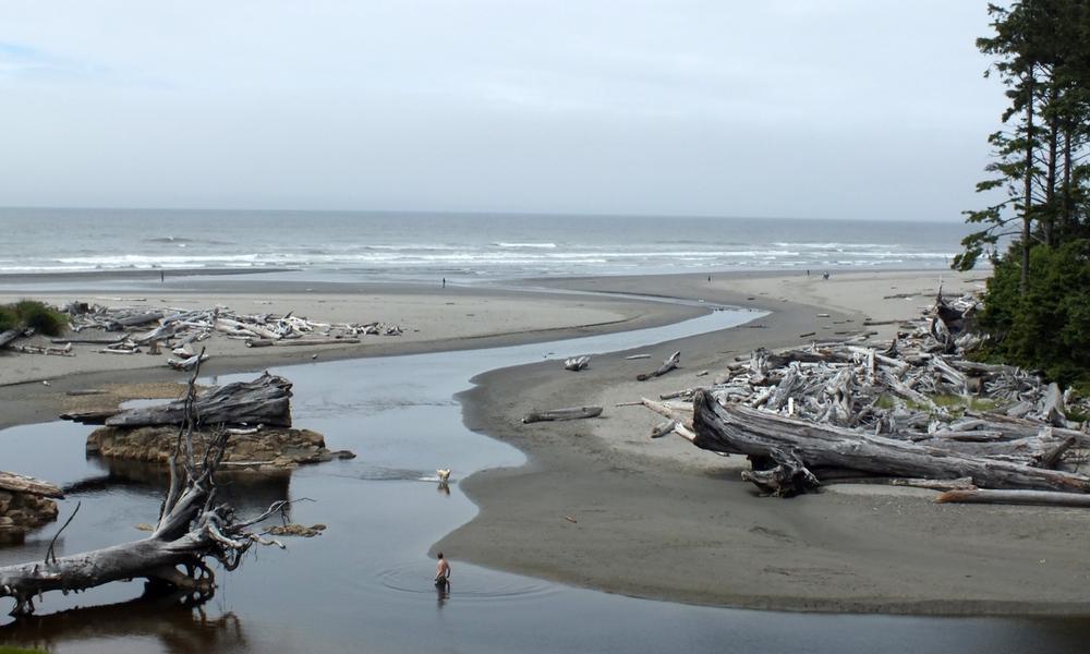 https://stock.adobe.com/gr_en/images/kalaloch-beach-olympic-national-park-washington-state-usa/120255320