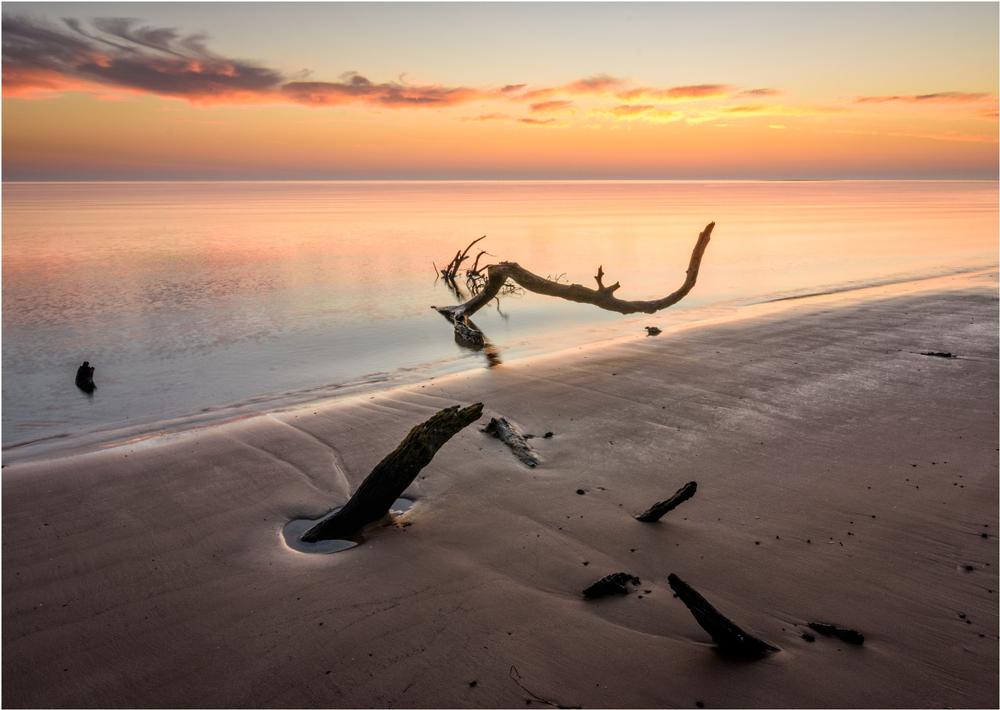 Amelia Island State Park - 40 minutes by car from Downtown Jacksonville