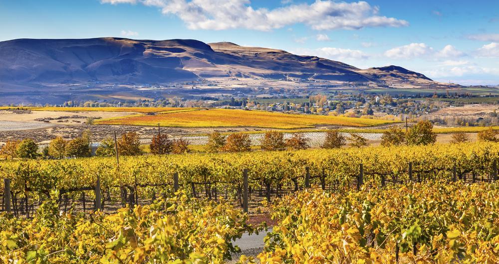 Benton City, Washington: Rolling Hills, Family Farms & Stargazing Stillness