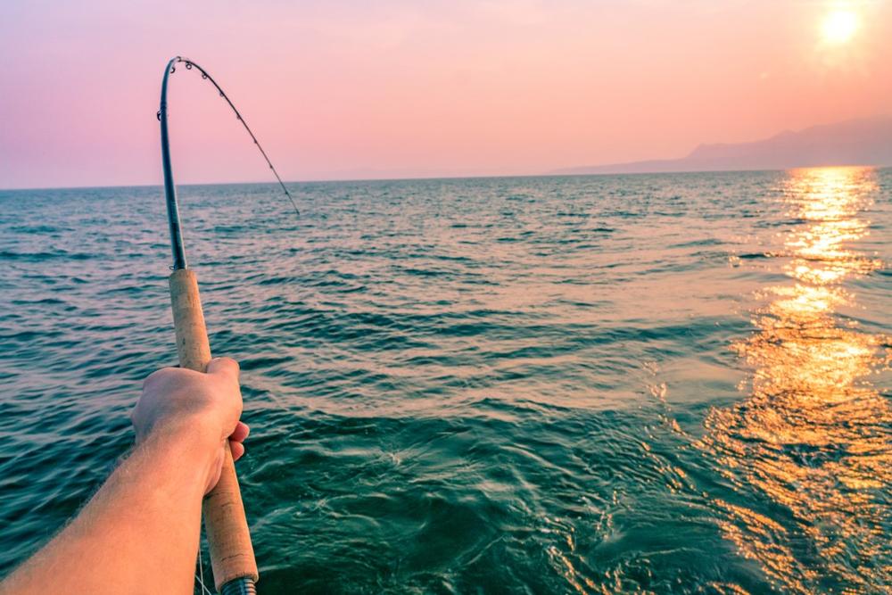 Chase the Bite with San Diego Fishing Charters - Coletta Sportfishing