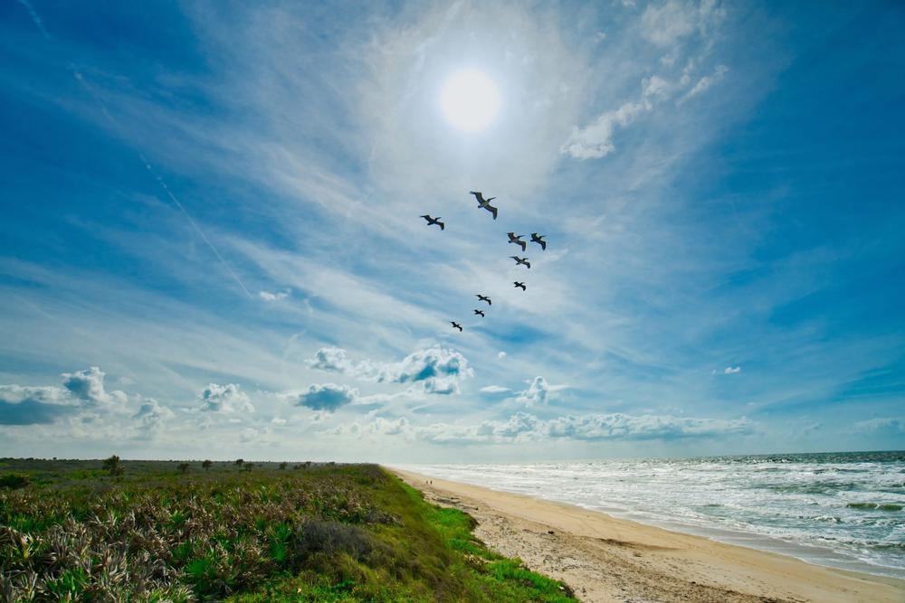 Anastasia State Park - 10 minutes by car from Downtown St. Augustine