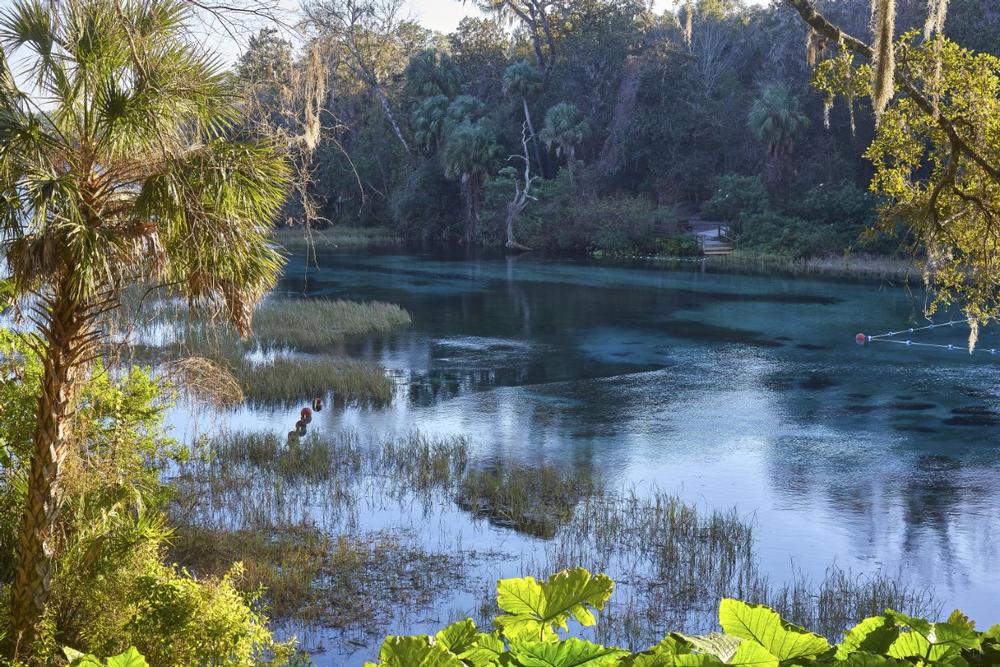 Rainbow Springs State Park - 1 hour and 30 minutes from Orlando