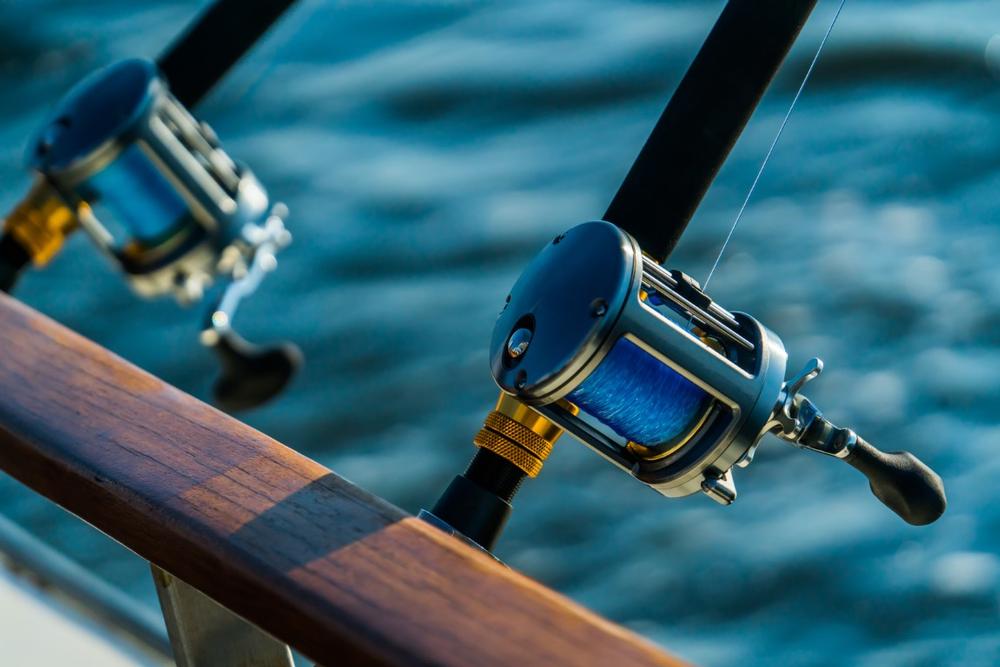 Fish Freshwater Like a Pro with Outdoor Expeditions USA, Holly Springs