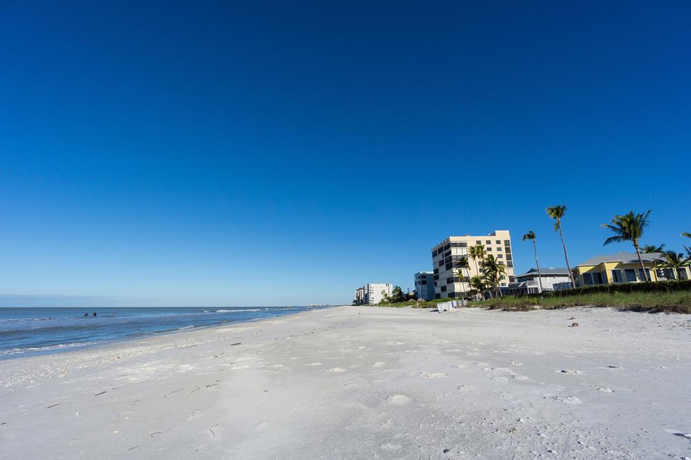 See wildlife at Barefoot Beach State Preserve