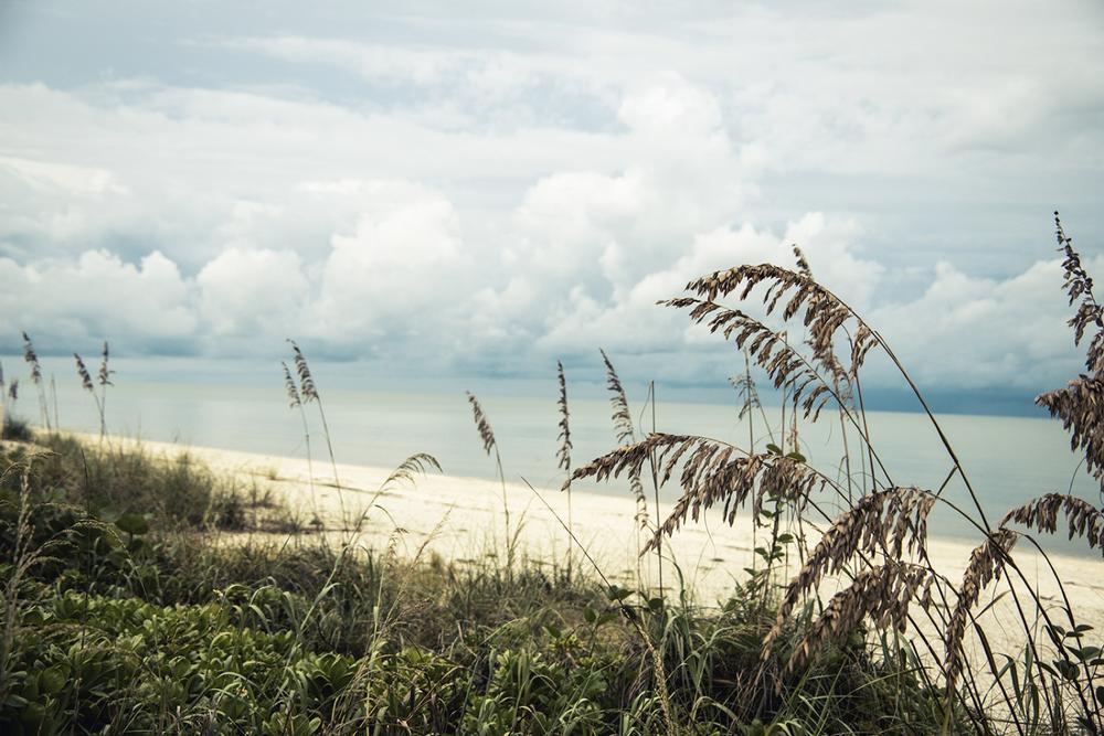 Bonita Beach - 10 miles north of Naples