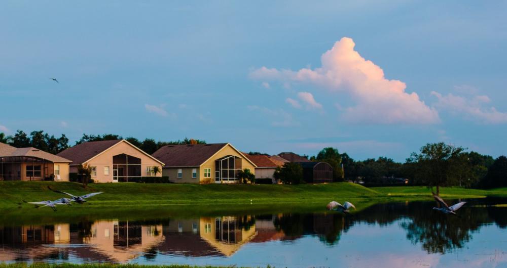 Lake Mary: Polished Corners and Hidden Calm