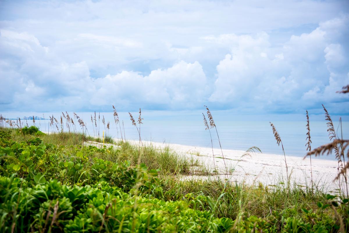 Beach in Bonita Springs, Florida